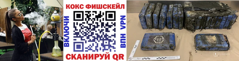 купить закладку  Камень-на-Оби  Кокаин Fish Scale 