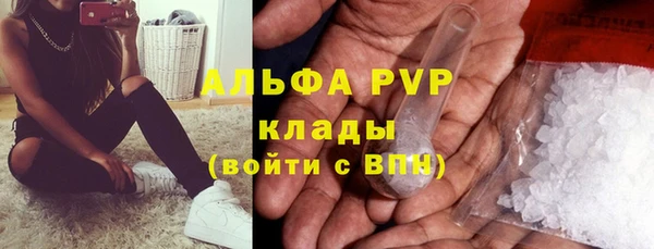 шишки Алзамай