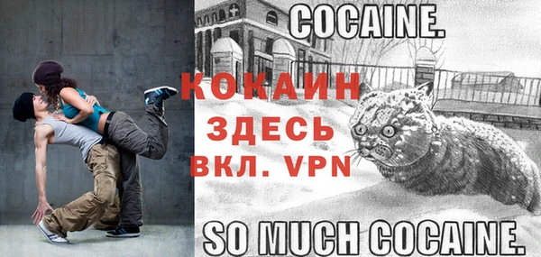 гашик Абинск