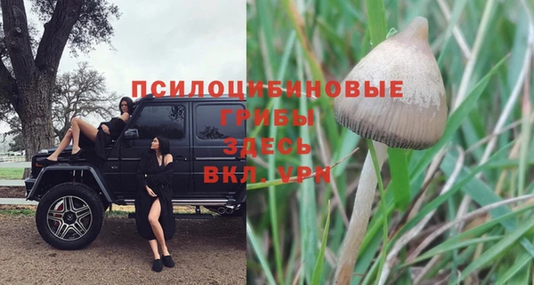 гашик Абинск