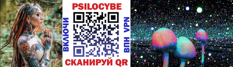 дарк нет как зайти  Камень-на-Оби  Псилоцибиновые грибы Magic Shrooms 